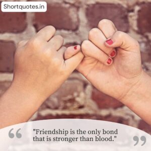 Long Time Friendship Quotes