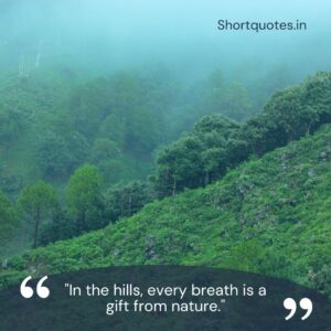 Hill Station Quotes for Instagram