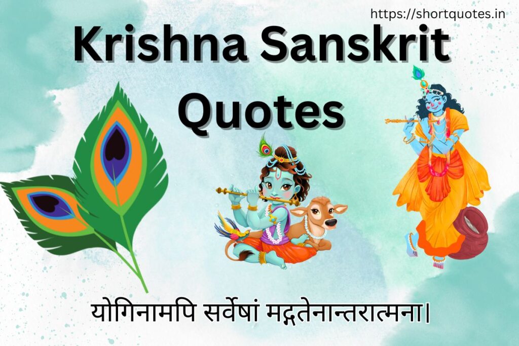 Krishna Sanskrit Quotes