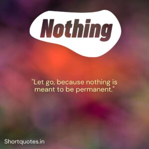 Nothing Is Permanent Quotes