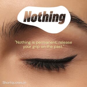 Nothing Is Permanent Quotes