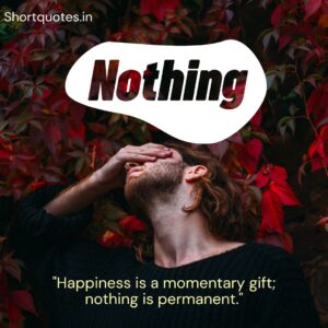 Nothing Is Permanent Quotes