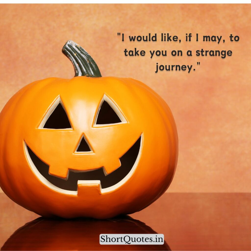 Cute Pumpkin Quotes