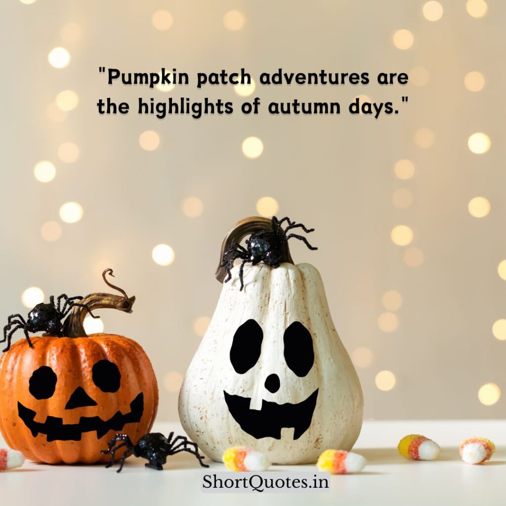 Cute Pumpkin Quotes