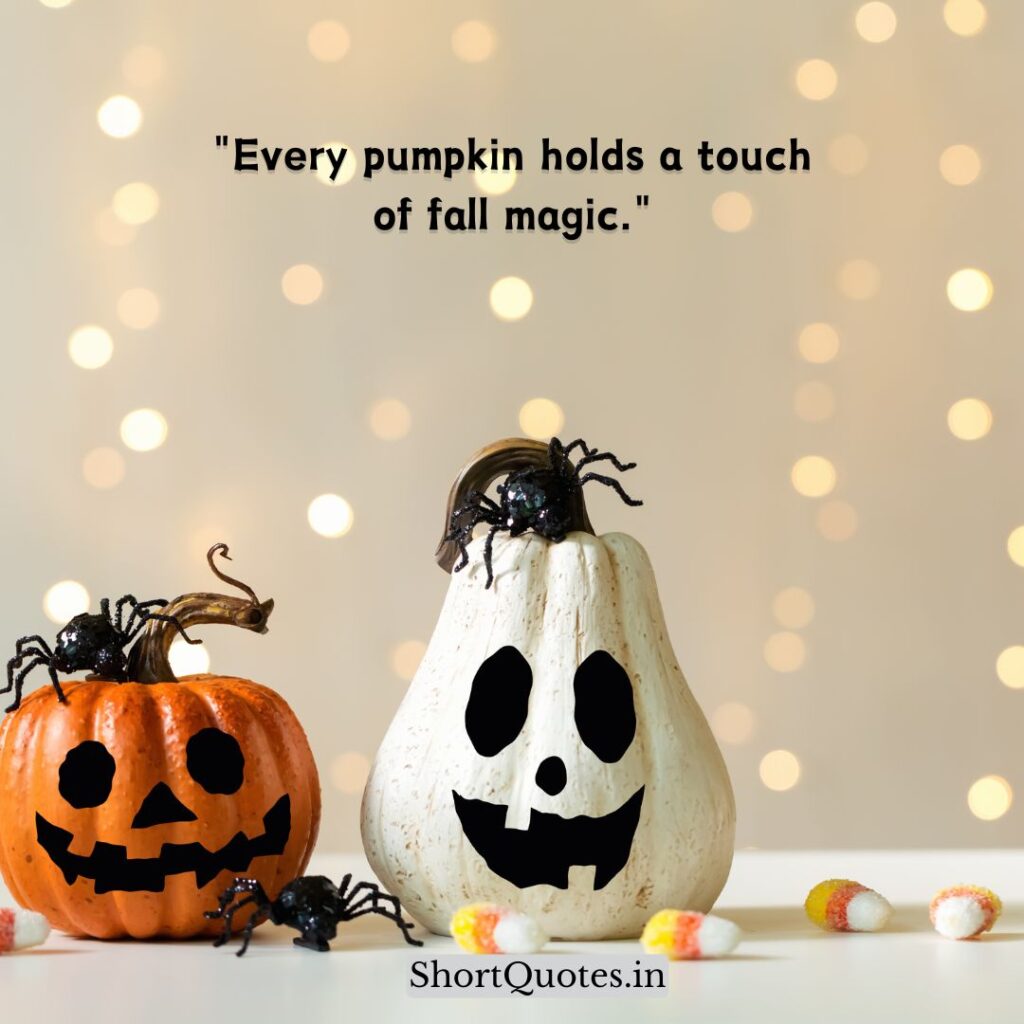 Cute Pumpkin Quotes