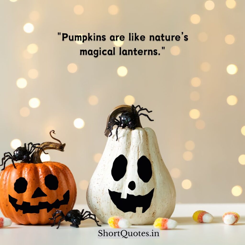 Cute Pumpkin Quotes