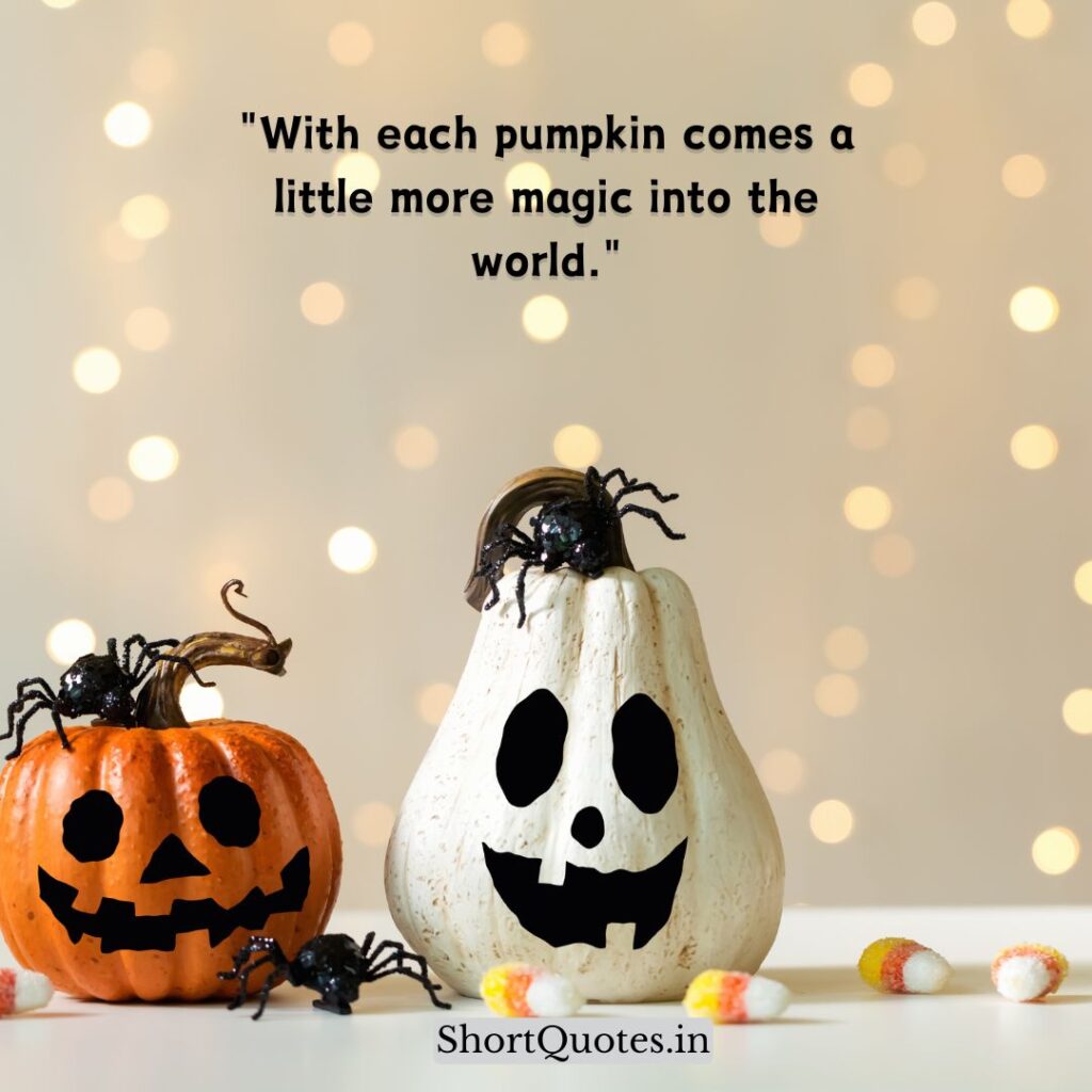 Cute Pumpkin Quotes