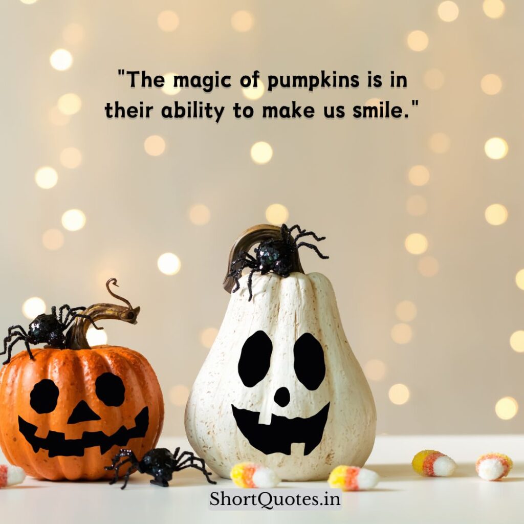 Cute Pumpkin Quotes