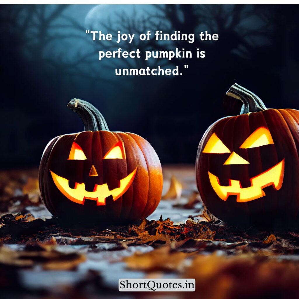 Cute Pumpkin Quotes