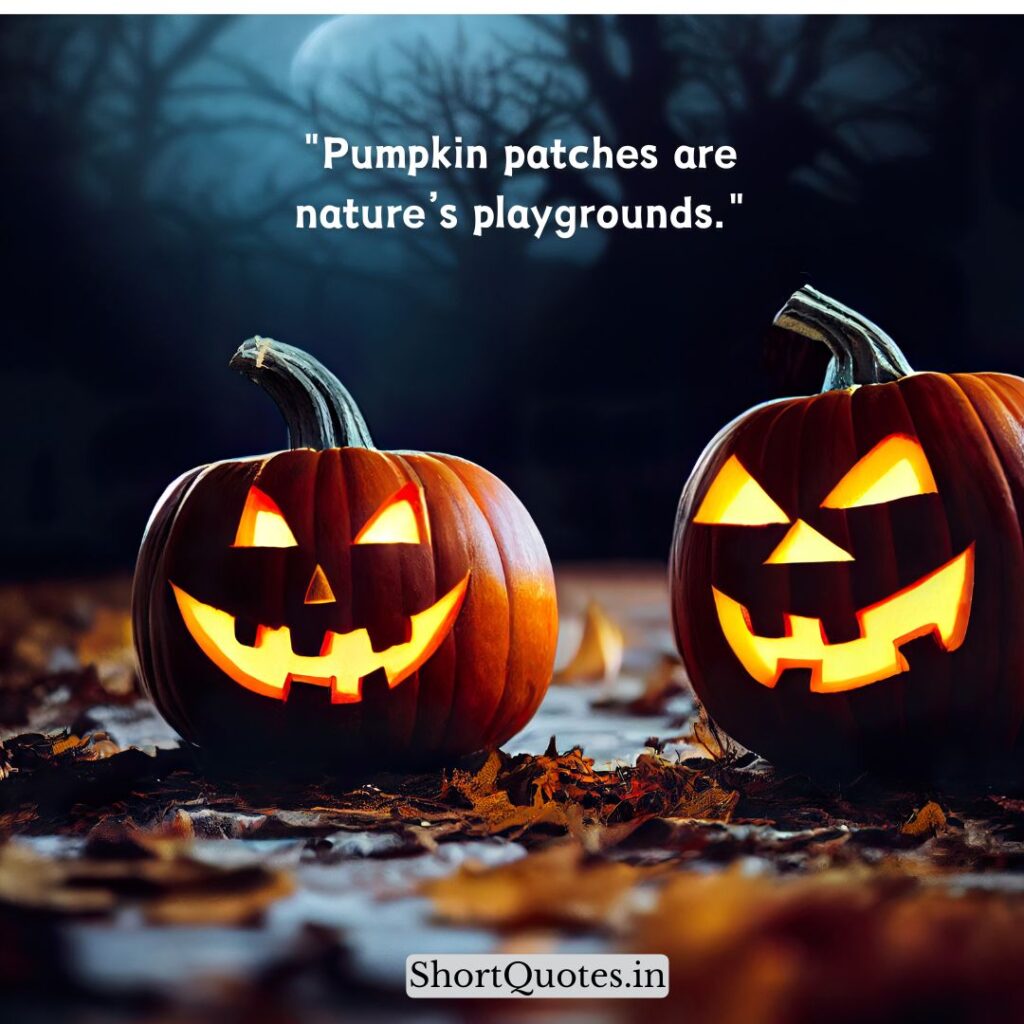 Cute Pumpkin Quotes