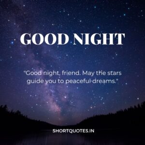 Good Night Friends Quotes