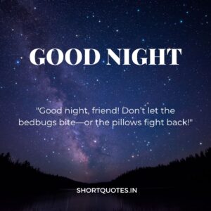 Good Night Friends Quotes