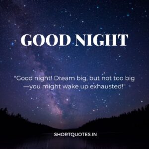 Good Night Friends Quotes