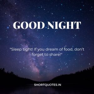 Good Night Friends Quotes