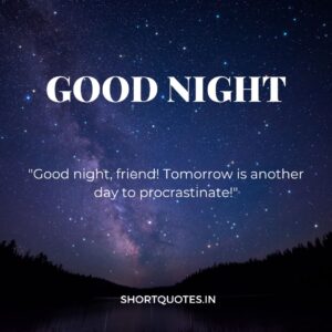 Good Night Friends Quotes