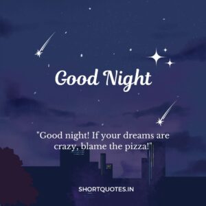 Good Night Friends Quotes