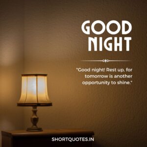 Good Night Friends Quotes