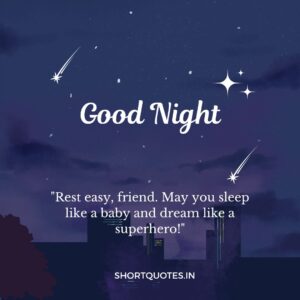 Good Night Friends Quotes