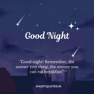 Good Night Friends Quotes