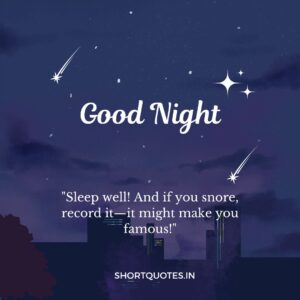 Good Night Friends Quotes