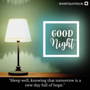 Good Night Friends Quotes