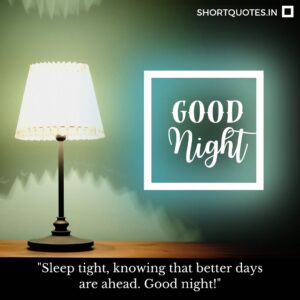 Good Night Friends Quotes