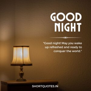 Good Night Friends Quotes