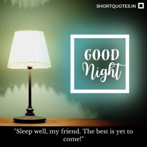 Good Night Friends Quotes