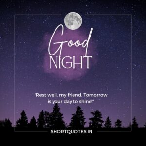 Good Night Friends Quotes