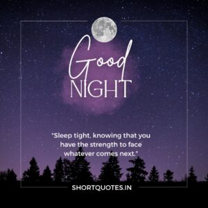 Good Night Friends Quotes