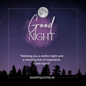 Good Night Friends Quotes