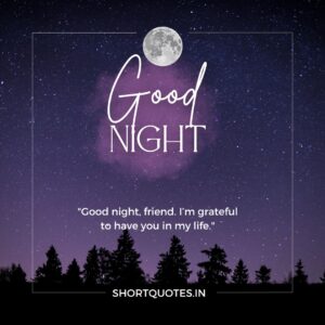 Good Night Friends Quotes