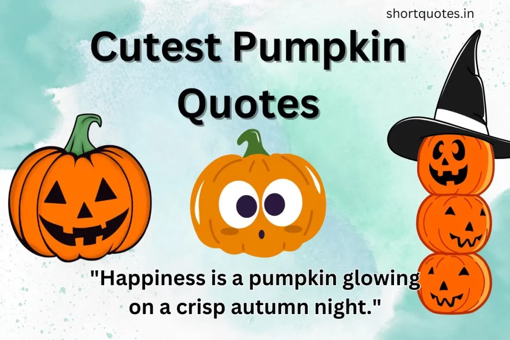 cute pumpkin quotes