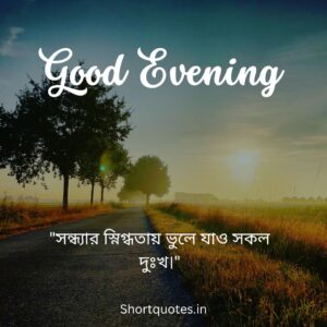 Good Evening Quotes in Bengali