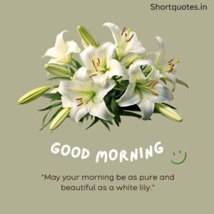 Good Morning with Flowers Quotes