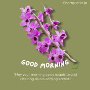 Good Morning with Flowers Quotes