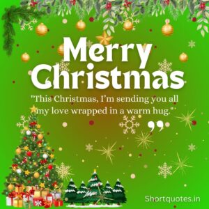 Merry Christmas My Love Quotes