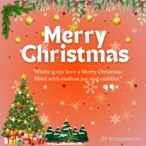 Merry Christmas My Love Quotes