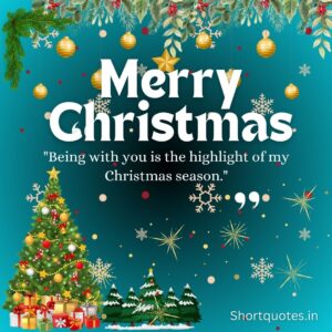 Merry Christmas My Love Quotes