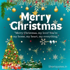 Merry Christmas My Love Quotes