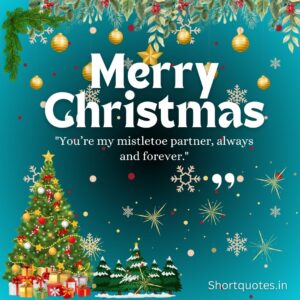 Merry Christmas My Love Quotes