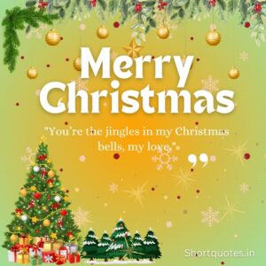 Merry Christmas My Love Quotes