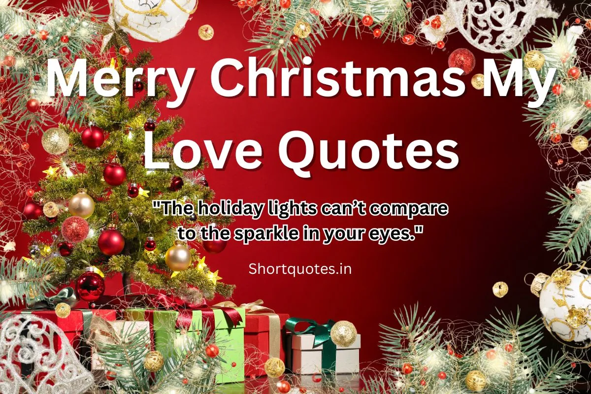 Merry Christmas My Love Quotes