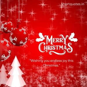 Merry Christmas Wishes for Friends