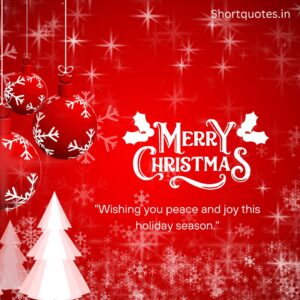 Merry Christmas Wishes for Friends