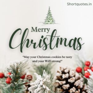 Merry Christmas Wishes for Friends