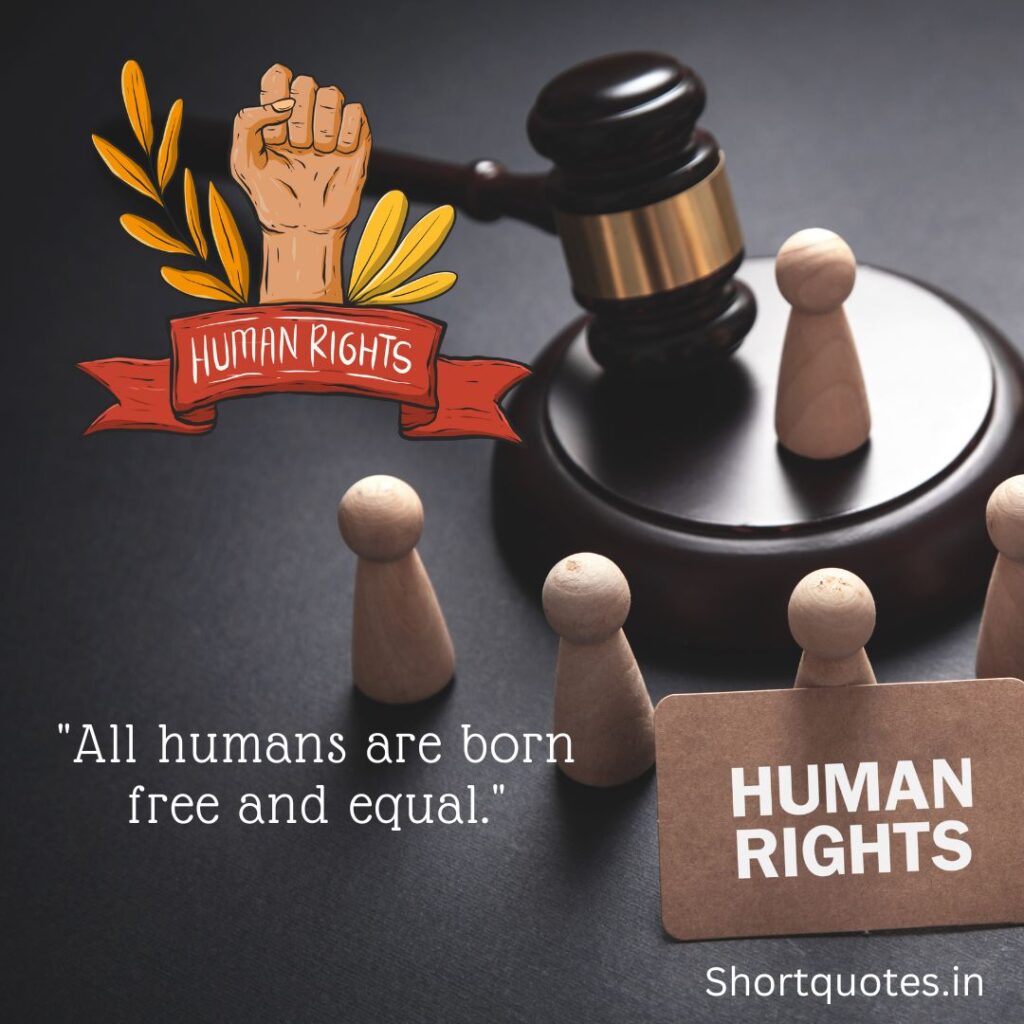 Short Quotes About Human Rights