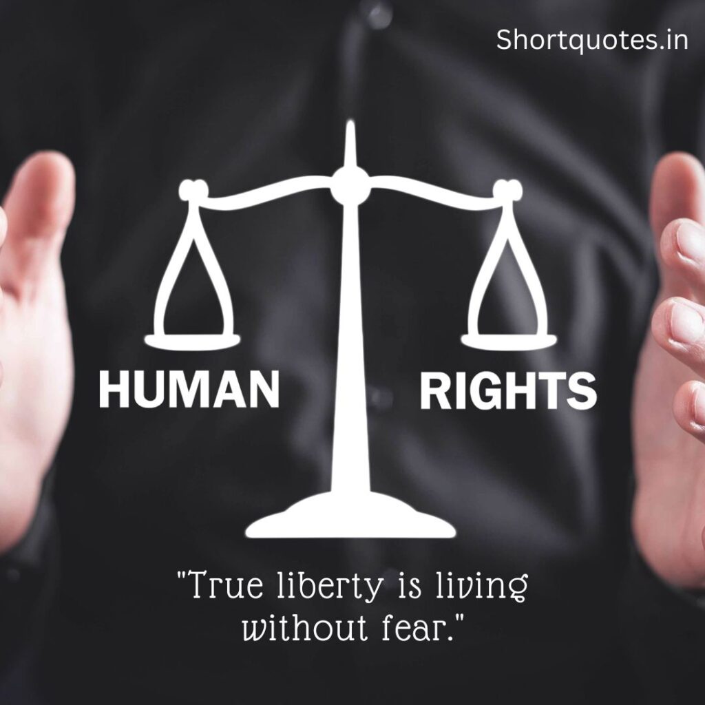 Short Quotes About Human Rights