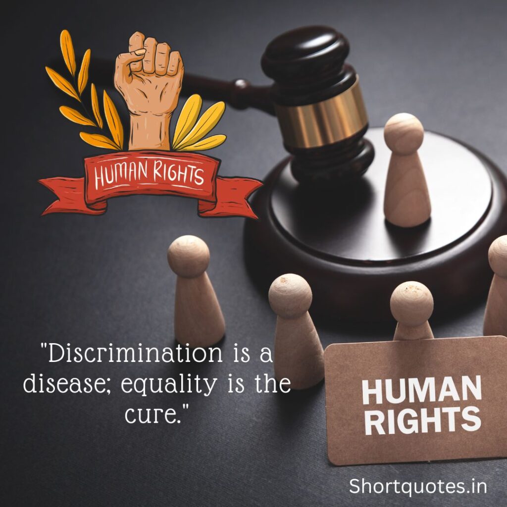 Short Quotes About Human Rights